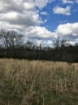 Picture of Rocky Creek - Wilkes County, GA