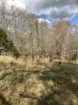 Picture of Rocky Creek - Wilkes County, GA
