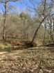 Picture of Rocky Creek - Wilkes County, GA