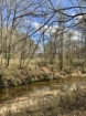 Picture of Rocky Creek - Wilkes County, GA