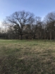 Picture of Rocky Creek - Wilkes County, GA