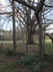 Picture of Rocky Creek - Wilkes County, GA