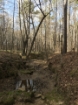 Picture of Rocky Creek - Wilkes County, GA