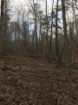 Picture of Rocky Creek - Wilkes County, GA
