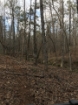 Picture of Rocky Creek - Wilkes County, GA