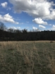 Picture of Rocky Creek - Wilkes County, GA