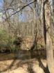 Picture of Rocky Creek - Wilkes County, GA