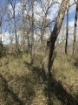Picture of Rocky Creek - Wilkes County, GA