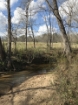 Picture of Rocky Creek - Wilkes County, GA