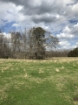 Picture of Rocky Creek - Wilkes County, GA