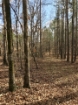 Picture of Rocky Creek - Wilkes County, GA