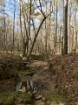 Picture of Rocky Creek - Wilkes County, GA