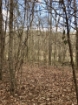 Picture of Rocky Creek - Wilkes County, GA