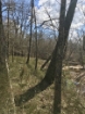 Picture of Rocky Creek - Wilkes County, GA