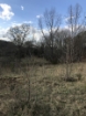 Picture of Rocky Creek - Wilkes County, GA