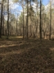 Picture of Rocky Creek - Wilkes County, GA