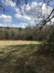 Picture of Rocky Creek - Wilkes County, GA