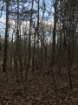 Picture of Rocky Creek - Wilkes County, GA