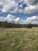 Picture of Rocky Creek - Wilkes County, GA