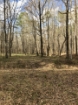 Picture of Rocky Creek - Wilkes County, GA
