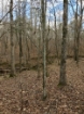 Picture of Rocky Creek - Wilkes County, GA