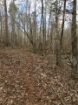 Picture of Rocky Creek - Wilkes County, GA