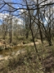 Picture of Rocky Creek - Wilkes County, GA