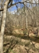 Picture of Rocky Creek - Wilkes County, GA