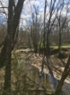 Picture of Rocky Creek - Wilkes County, GA