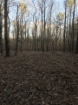 Picture of Rocky Creek - Wilkes County, GA