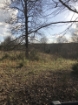 Picture of Rocky Creek - Wilkes County, GA