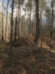 Picture of Rocky Creek - Wilkes County, GA