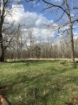 Picture of Rocky Creek - Wilkes County, GA