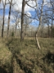Picture of Rocky Creek - Wilkes County, GA