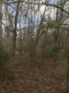 Picture of Rocky Creek - Wilkes County, GA