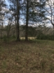 Picture of Rocky Creek - Wilkes County, GA
