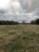 Picture of Rocky Creek - Wilkes County, GA