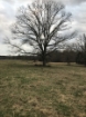 Picture of Rocky Creek - Wilkes County, GA