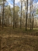 Picture of Rocky Creek - Wilkes County, GA