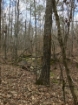 Picture of Rocky Creek - Wilkes County, GA