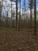 Picture of Rocky Creek - Wilkes County, GA