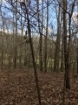 Picture of Rocky Creek - Wilkes County, GA