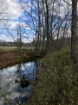 Picture of Rocky Creek - Wilkes County, GA