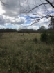 Picture of Rocky Creek - Wilkes County, GA