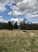 Picture of Rocky Creek - Wilkes County, GA
