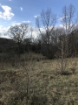 Picture of Rocky Creek - Wilkes County, GA