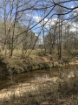 Picture of Rocky Creek - Wilkes County, GA