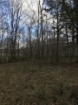 Picture of Rocky Creek - Wilkes County, GA