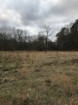 Picture of Rocky Creek - Wilkes County, GA