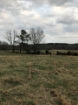 Picture of Rocky Creek - Wilkes County, GA